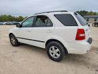 2009 KIA Sorento Base