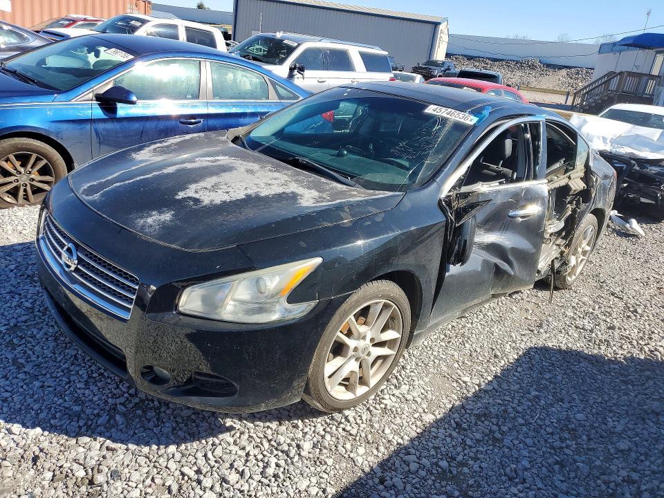 2011 Niss Maxima