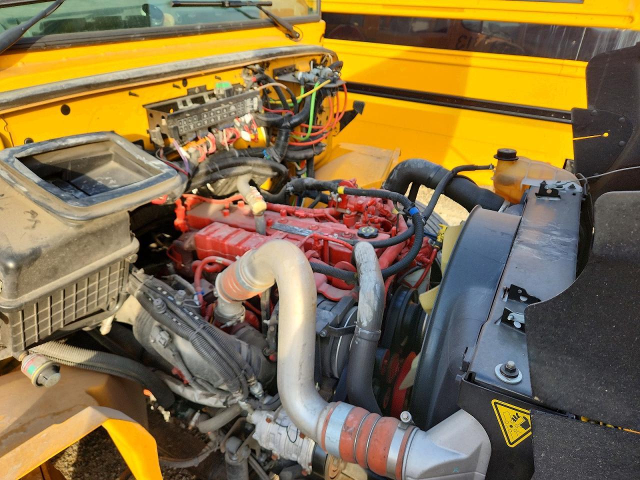 2023 Ic Bus PB105 School Bus