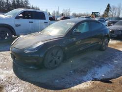 2023 Tesla Model 3 for sale in Bowmanville, ON