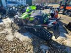 2024 Arctic Cat Riot 600