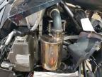 2020 Arctic Cat Arctic Cat