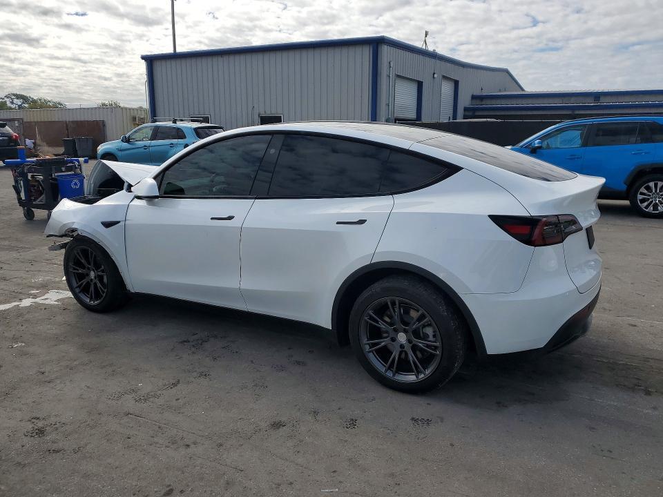 2024 Tesla Model y