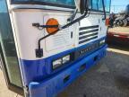 2013 Blubird School Bus / Transit Bus