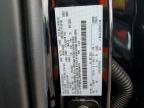2025 Ford F150 XLT