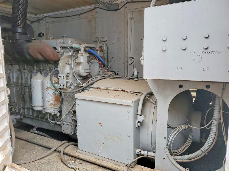 1981 Unknown 1981 Generation