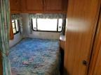1995 Ford 1995 Coachman Recreational Vehicle (RV)-RV