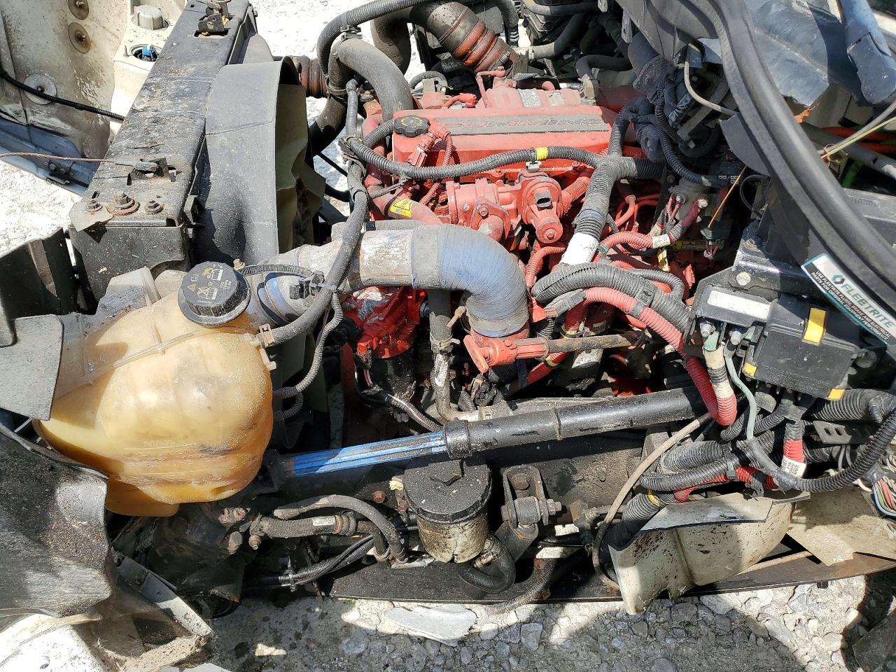 2019 International MV607