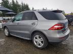 2012 Mercedes-Benz Ml 350 4matic