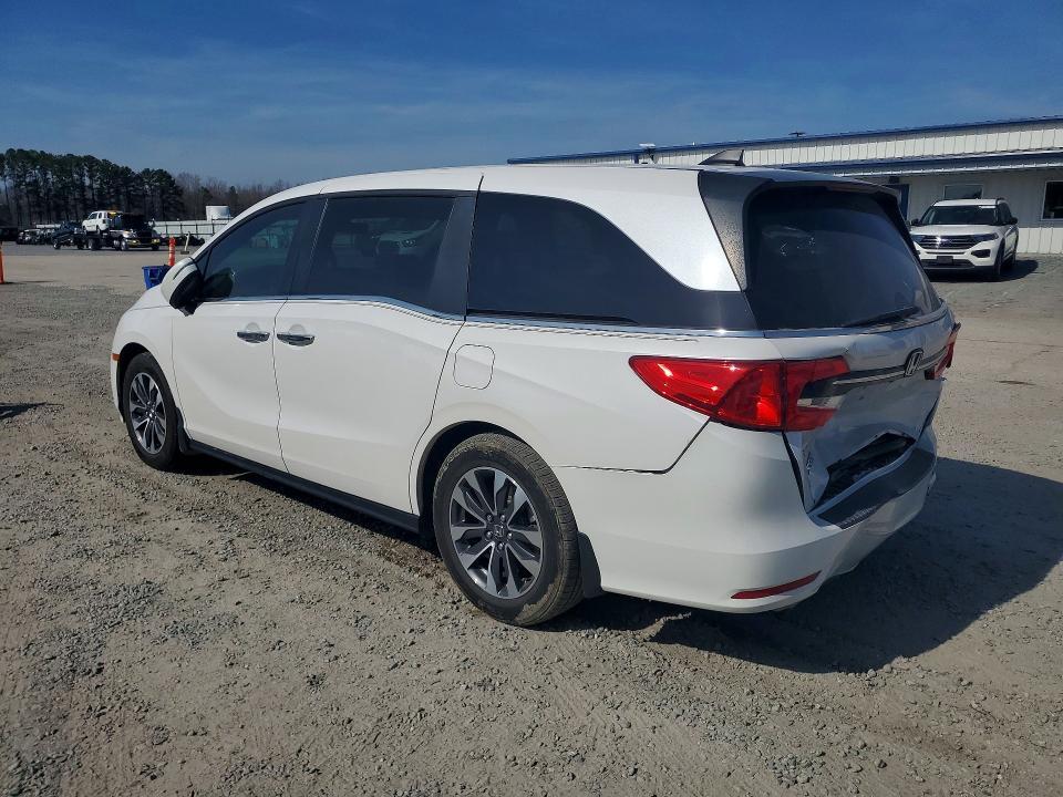 2023 Honda Odyssey exl