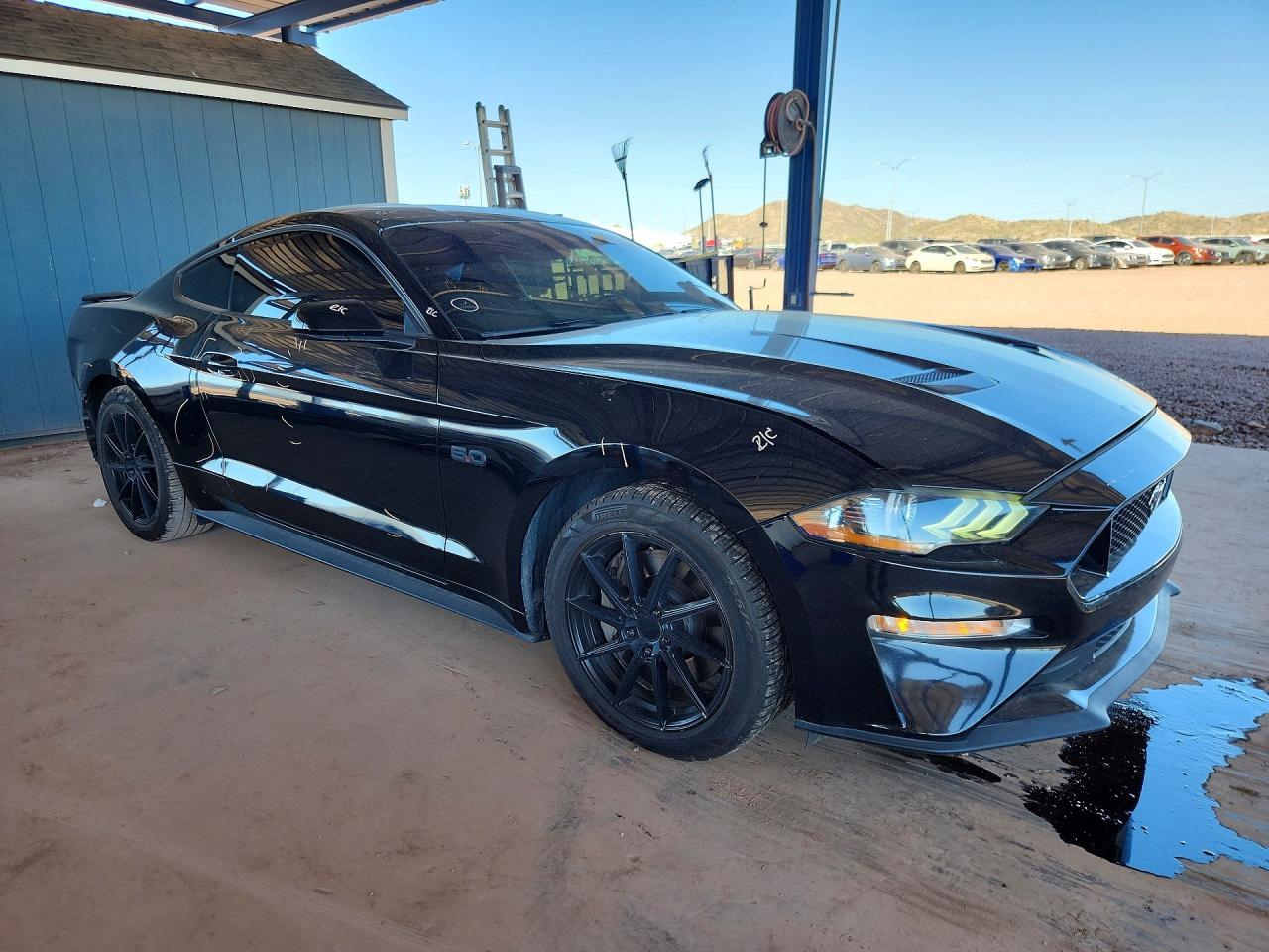2019 Ford Mustang gt