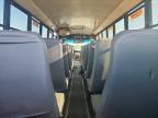 2011 Freigliner 2011 Thomas Built School Bus