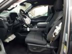 2025 Ford F150 XLT