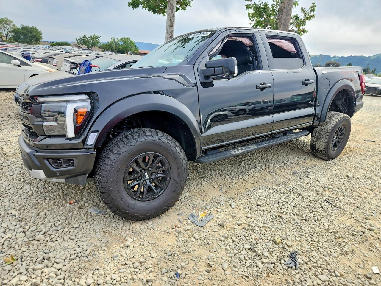 2025 Ford F150 Raptor