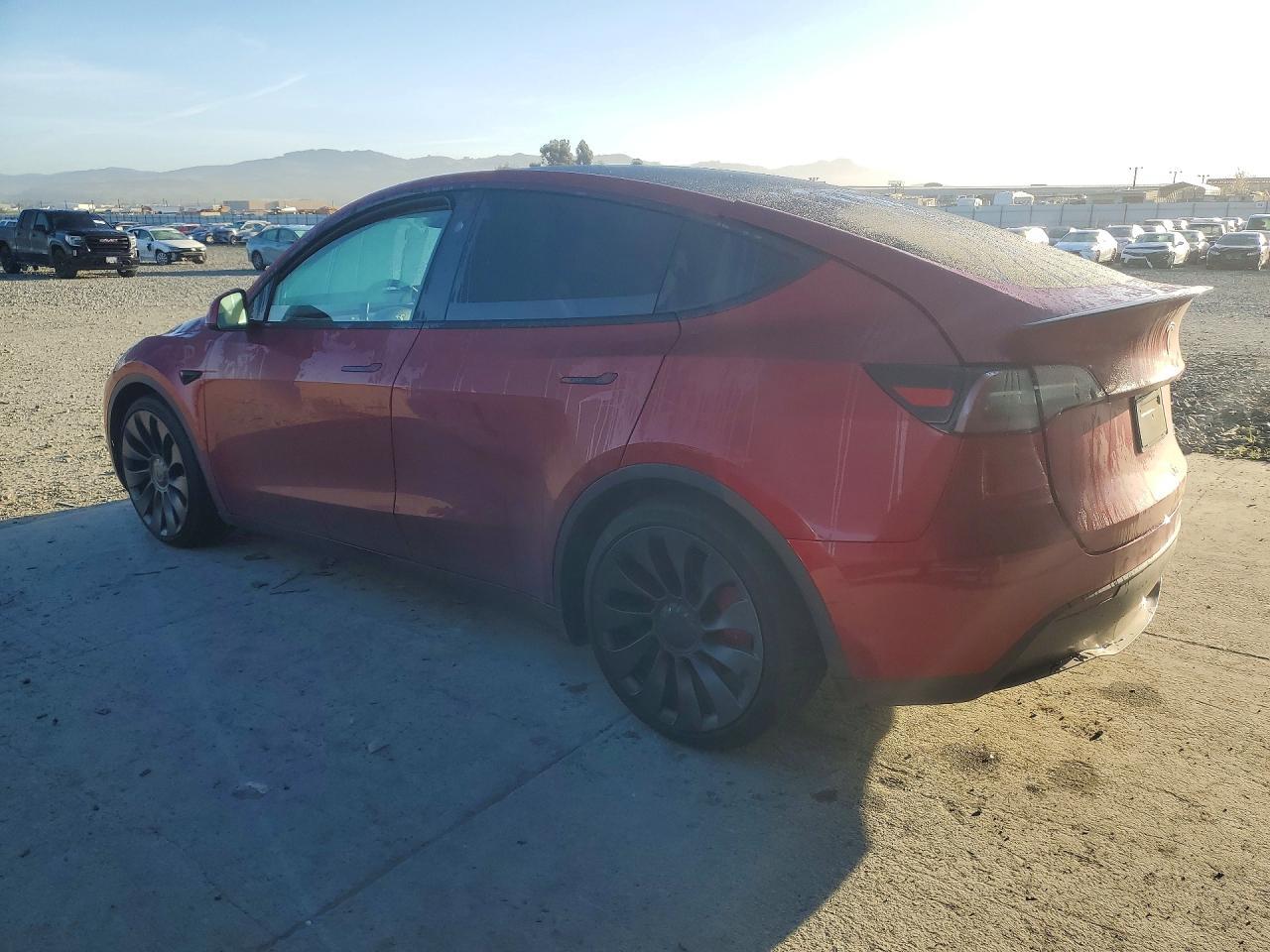 2024 Tesla Model y