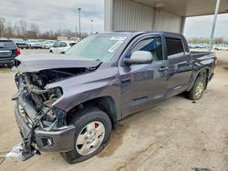 Salvage trucks for sale at Fort Wayne, IN auction: 2016 Toyota Tundra TRD PRO