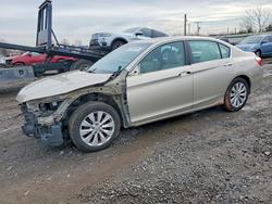 Honda salvage cars for sale: 2013 Honda Accord exl