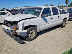 Chevrolet Silverado c1500 salvage cars for sale: 2006 Chevrolet Silverado C1500