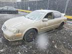 2000 Nissan Maxima gxe