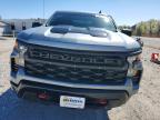 2023 Chevrolet Silverado K1500 Trail Boss Custom