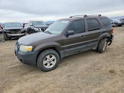 2007 Ford Escape xlt for sale in Helena, MT