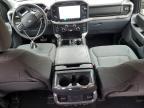 2025 Ford F150 XLT