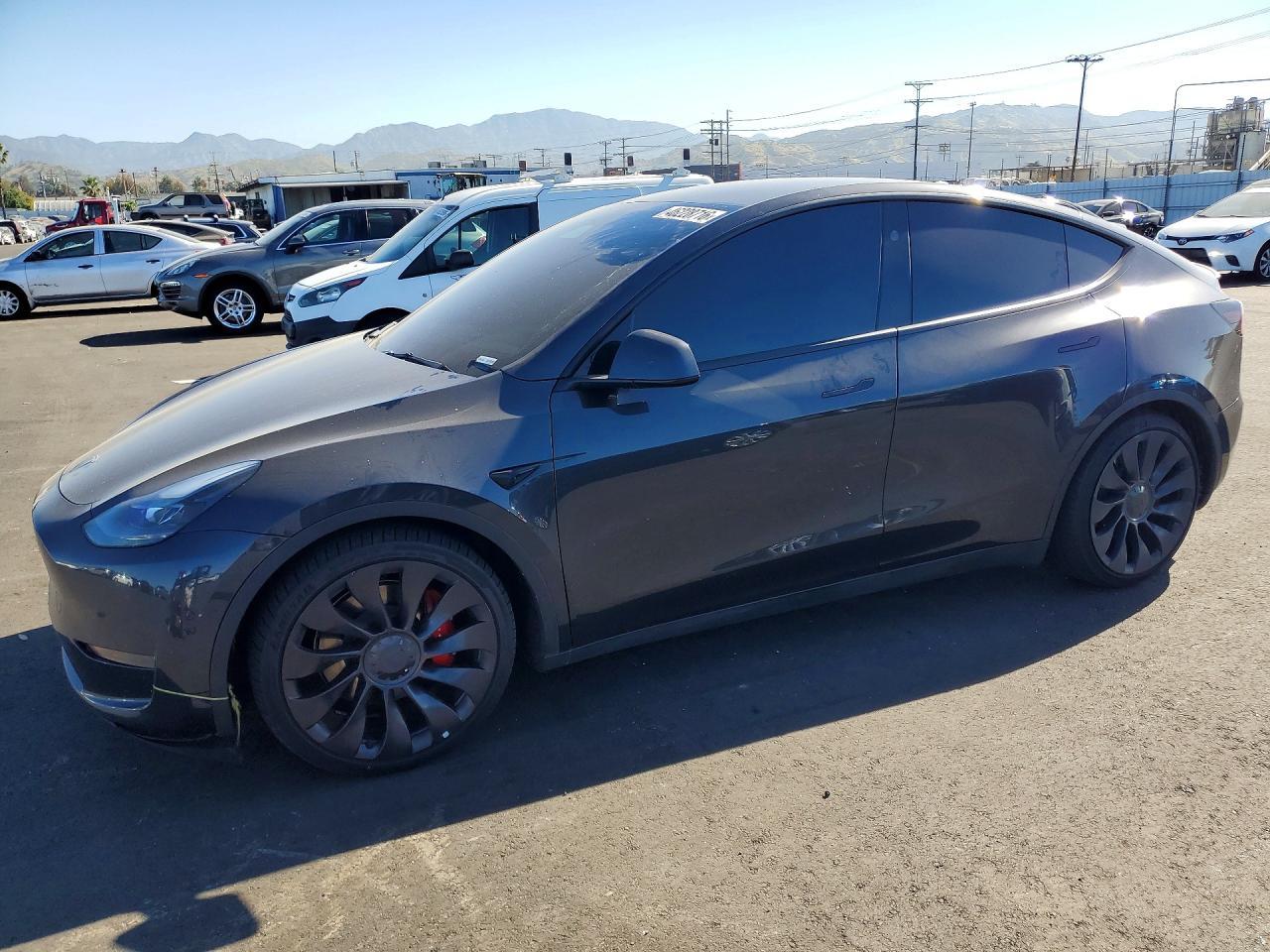 2024 Tesla Model y