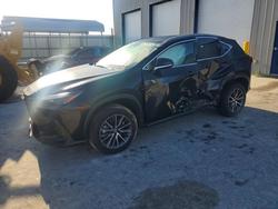 Lexus salvage cars for sale: 2024 Lexus Nx 250 Premium