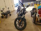 2024 Harley-Davidson RH975