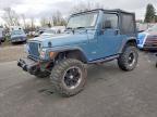 1998 Jeep Wrangler / tj se