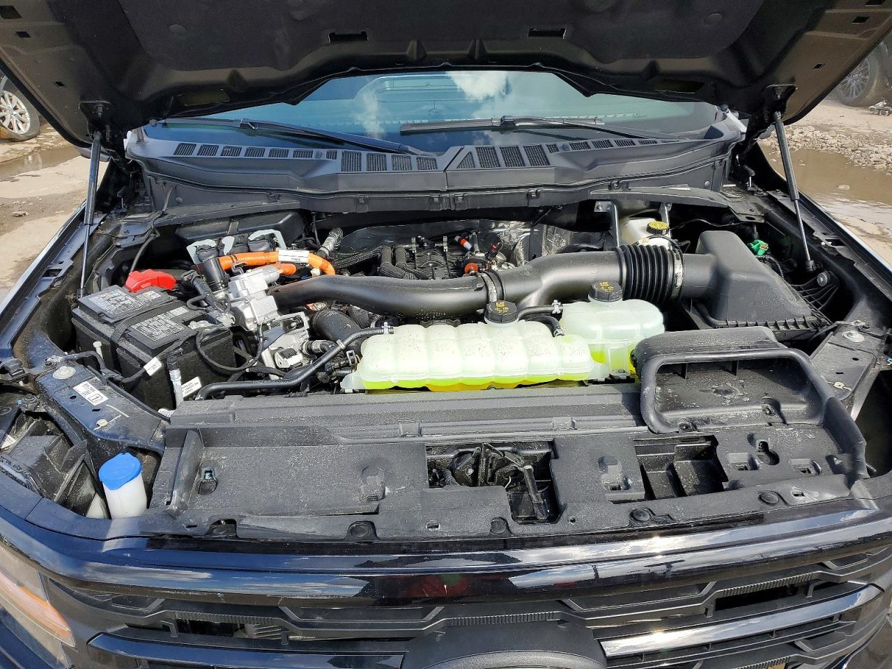 2025 Ford F150 XLT
