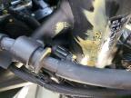 2025 Kawasaki ZX400 S