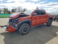 Salvage trucks for sale at Denver, CO auction: 2025 Toyota Tacoma TRD OFF-Road
