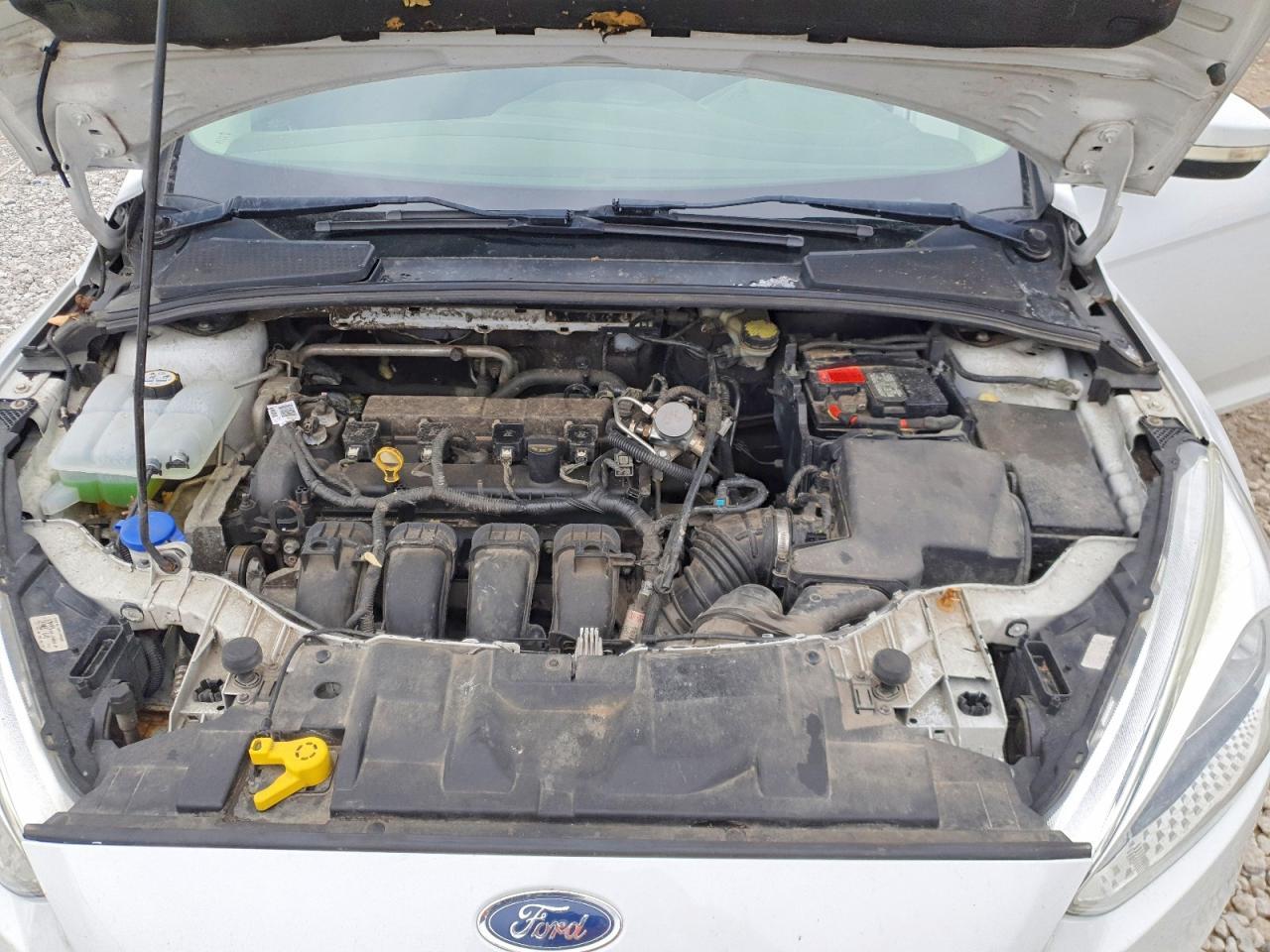 2016 Ford Focus se