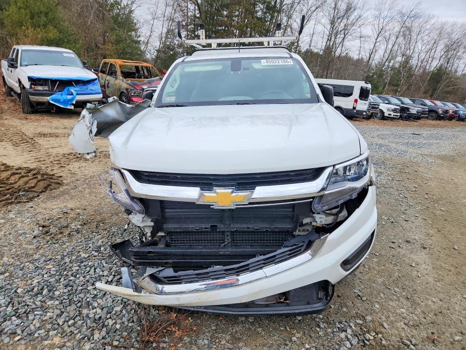 2019 Chev Colorado