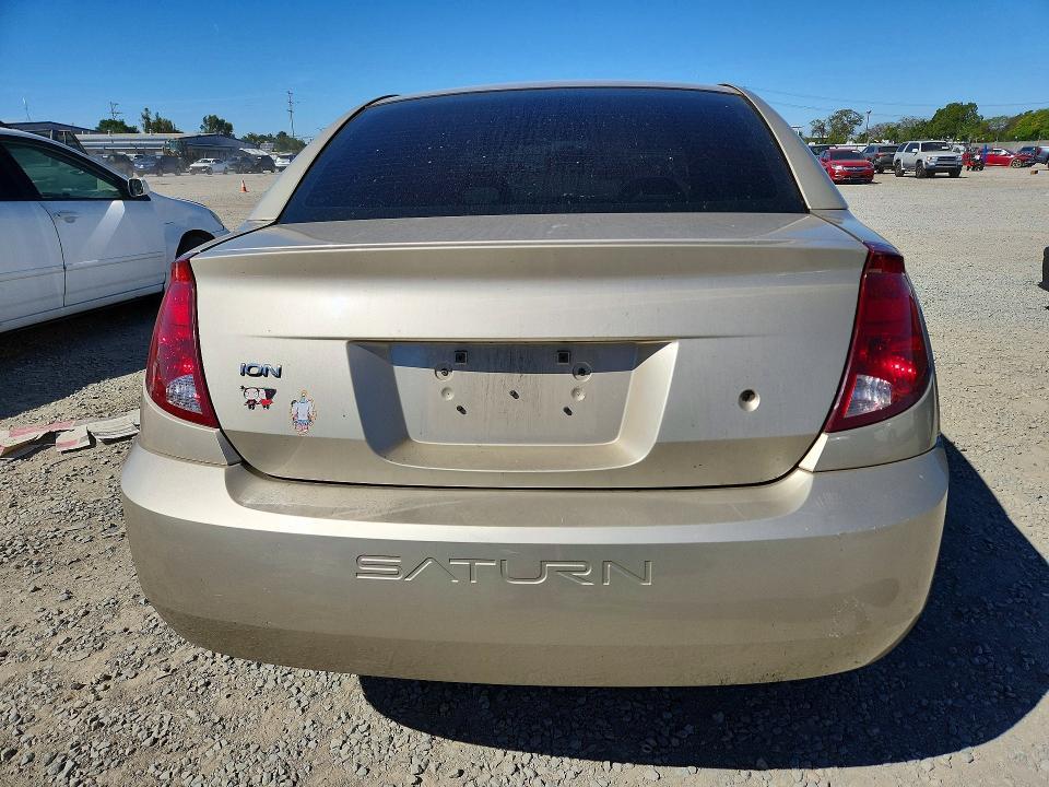 2004 Snowex Ion