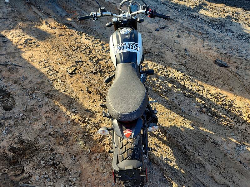 2020 Ducati Scrambler Desert Sled