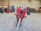 2024 BMW S 1000 RR