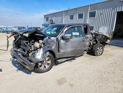 Ford salvage cars for sale: 2013 Ford F150 Supercrew