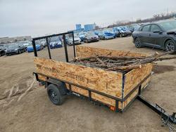 Salvage trucks for sale at Des Moines, IA auction: 2025 Carry-On Utility Trailer