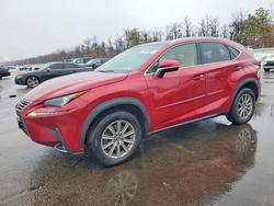 Lexus Vehiculos salvage en venta: 2019 Lexus Nx 300 Base