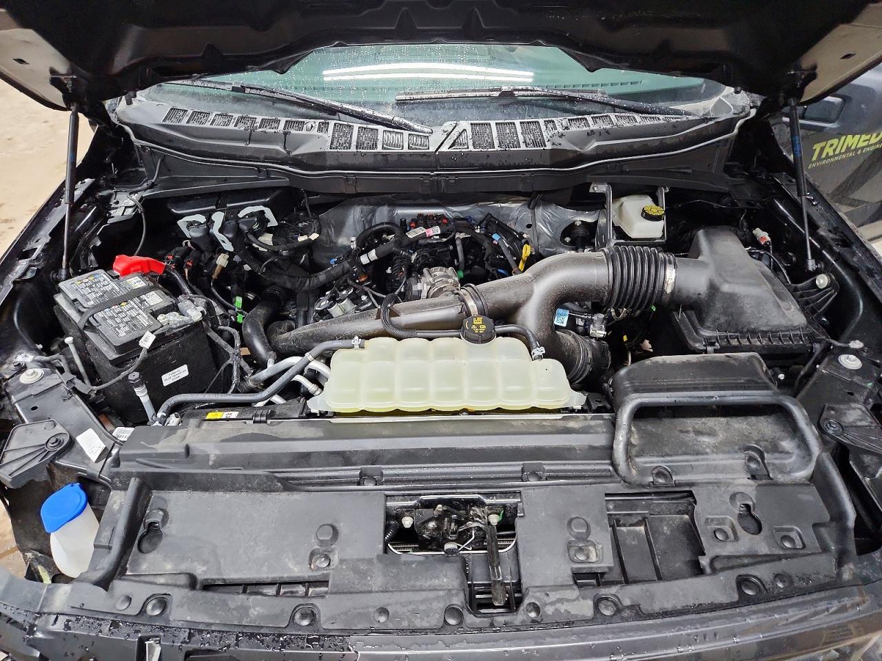 2025 Ford F150 STX