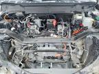 2025 Ford F150 Lightning XLT