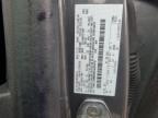 2024 Ford Escape st Line