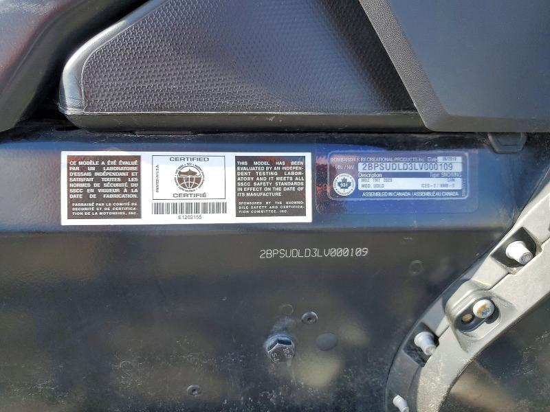 2020 Other Automobile Snowmobile