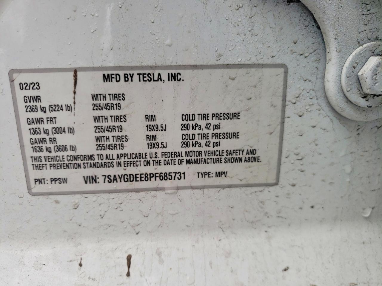 2023 Tesla Model y