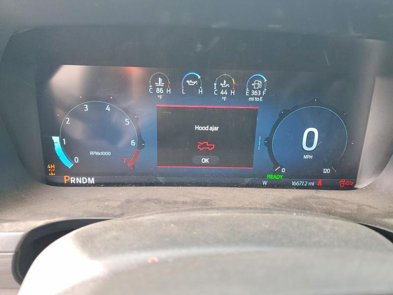 2024 Ford F150 XLT