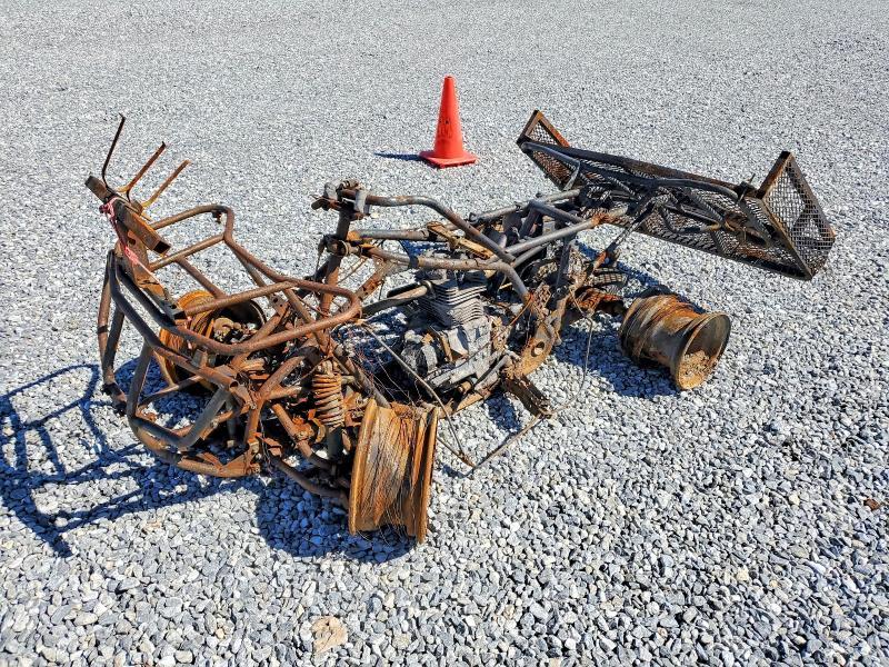 2013 Honda TRX250 TM Utility Vehicle