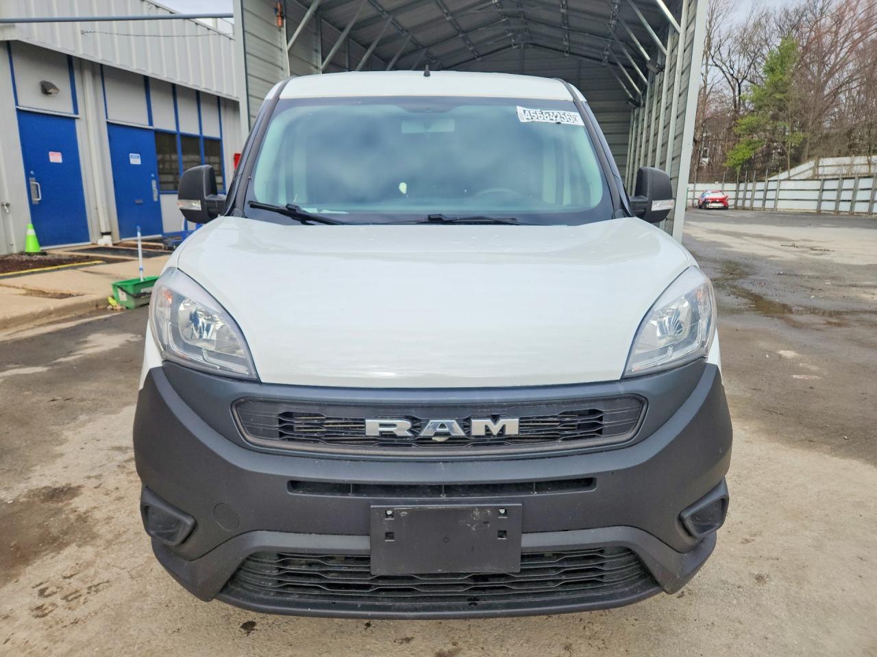 2019 Dodge RAM Promaster City