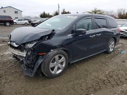 Honda salvage cars for sale: 2019 Honda Odyssey exl